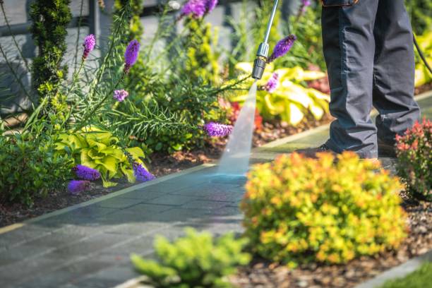 Professional Pressure Washing Services in Hudson Oaks, TX